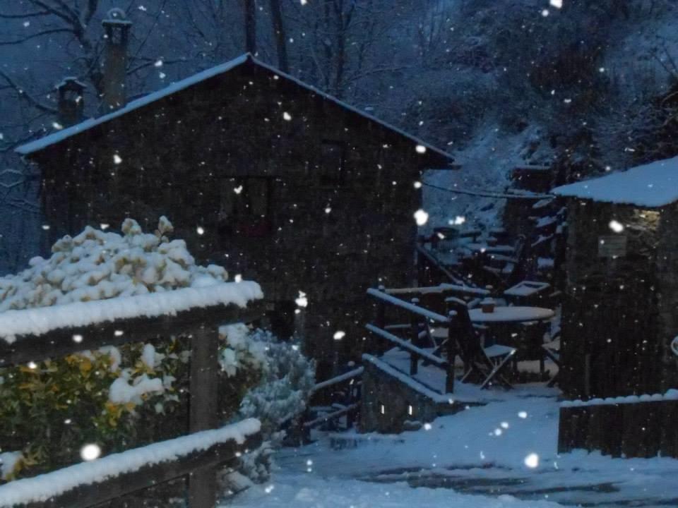 Masia Can Constans Queralbs Exteriör bild